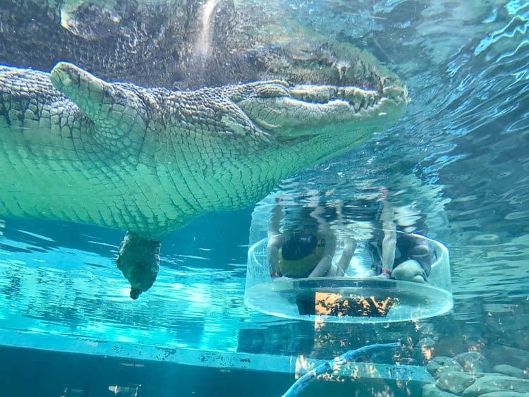 Croc Cave