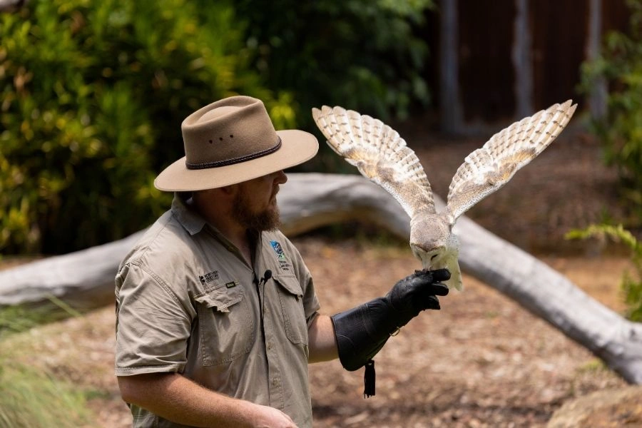 Territory Wildlife Park