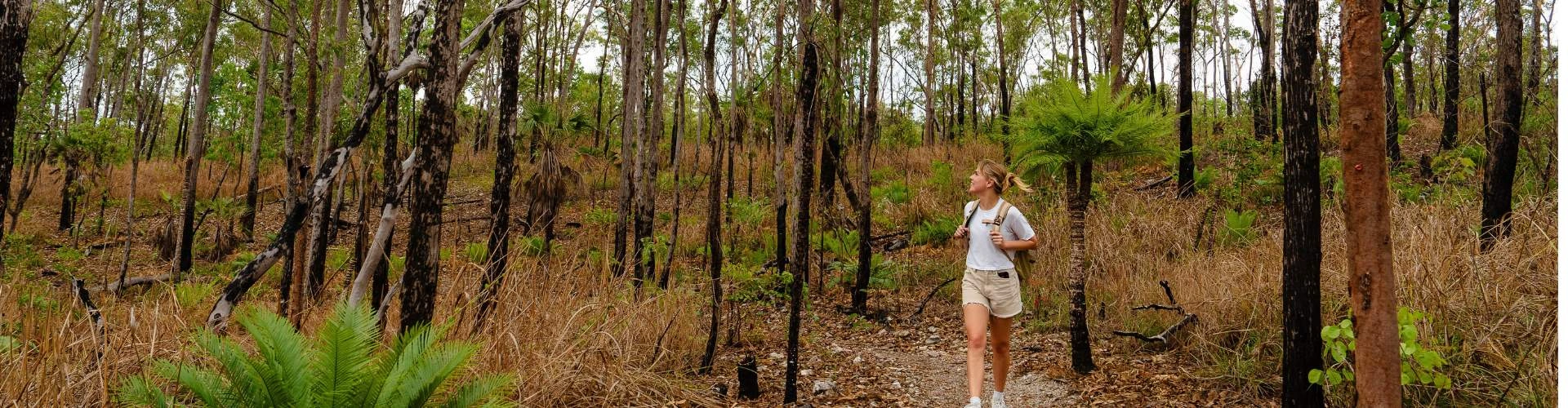 Charles Darwin National Park