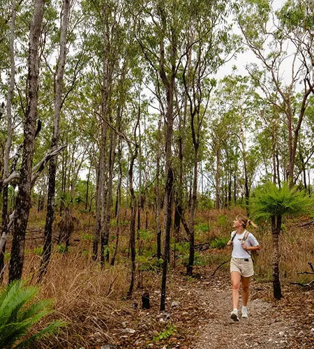 Charles Darwin National Park
