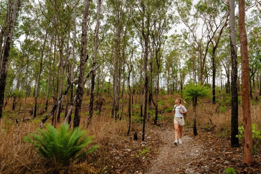 Charles Darwin National Park
