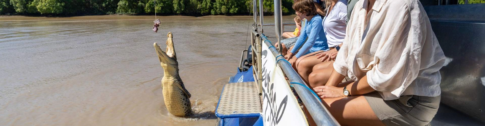 Jumping Crocs